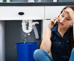 About Emergency plumbing pros Irvington, IL